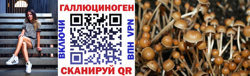 Псилоцибиновые грибы Psilocybe  Купить  Ейск 