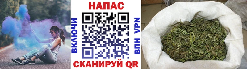 Конопля план Ейск